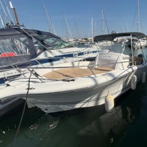 WHITE SHARK 246